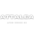 DJ Attalea